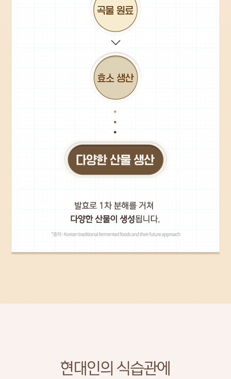 바른 발효효소 상세기술서29